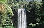 Take a dip under the region's most famous waterfall- Millaa Millaa falls
